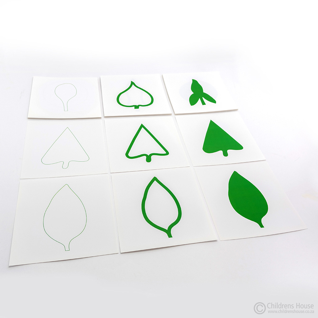 The Leaf Cards for the Botany Cabinet
