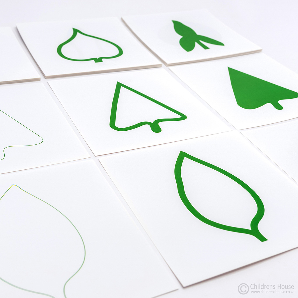The Leaf Cards for the Botany Cabinet - Image 2