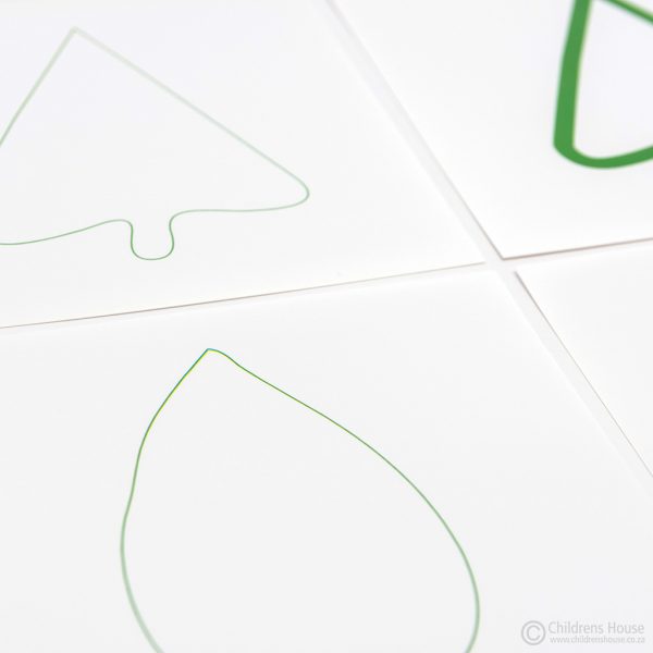 The Leaf Cards for the Botany Cabinet - Image 4