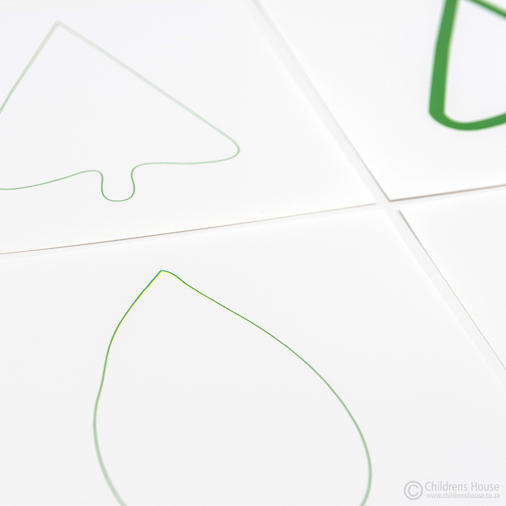 The Leaf Cards for the Botany Cabinet - Image 4