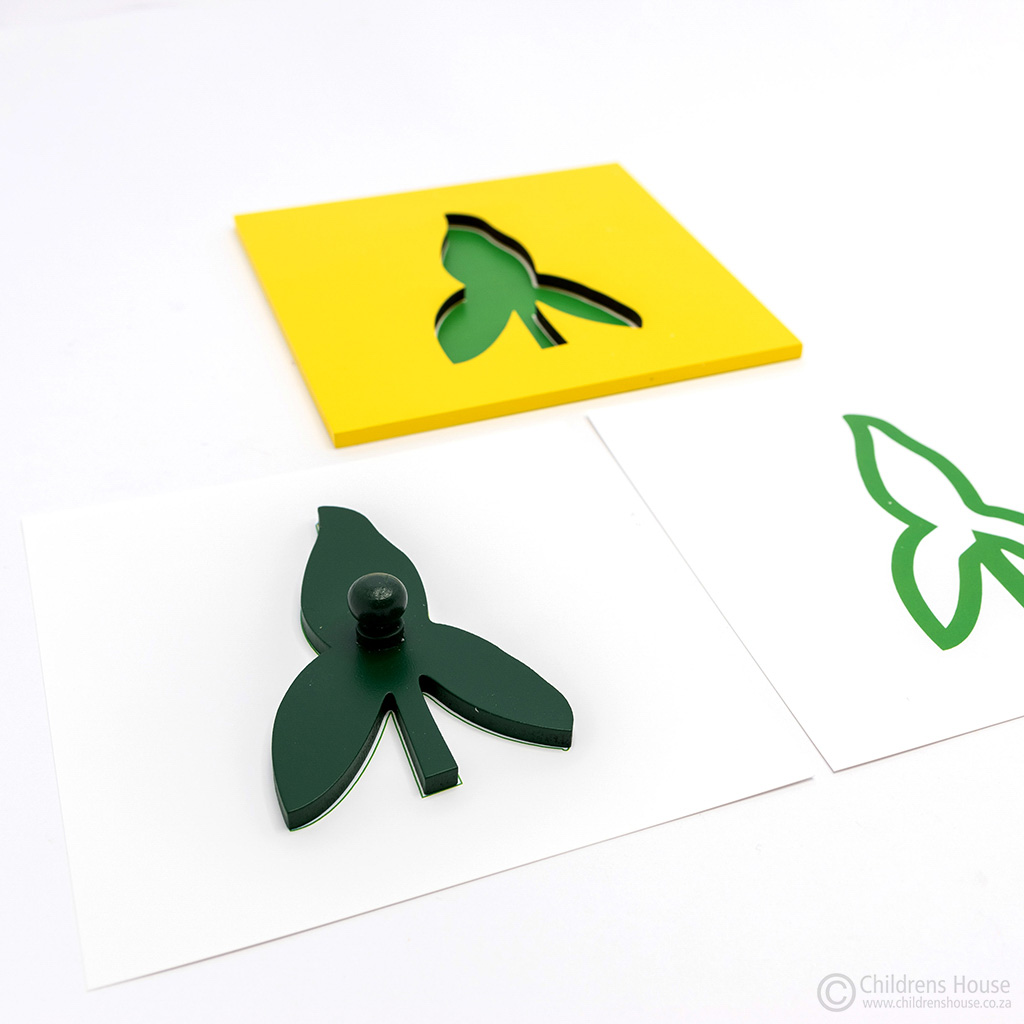The Leaf Cards for the Botany Cabinet - Image 3