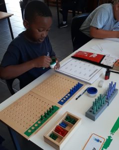 Working with the test Tubes and Racks at Brylin Montessori