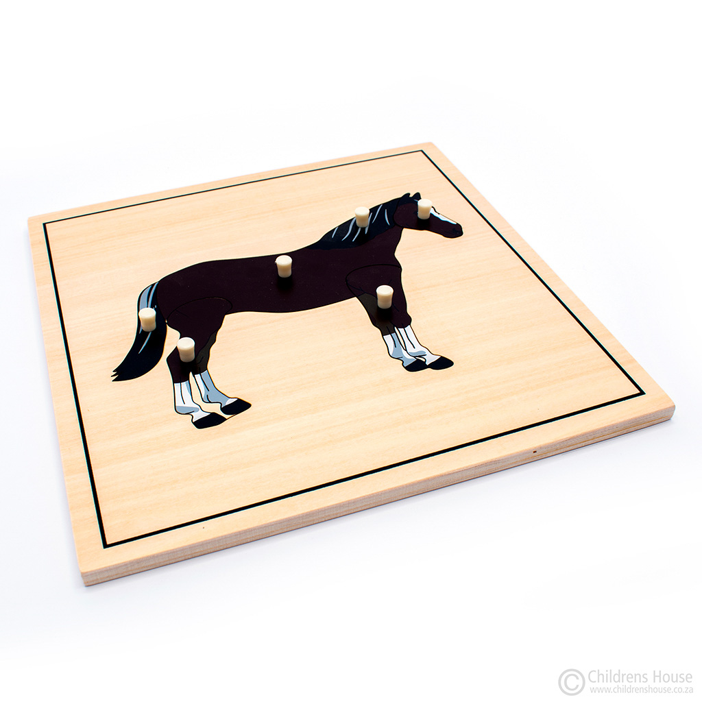 Horse Skeleton Puzzle