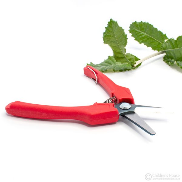 Maria Montessori advocated that children be taught to use "real" appliances and accessories. These red-handled, straight blunt nosed blade secateurs are sharp, and teachers must supervise children at all times.