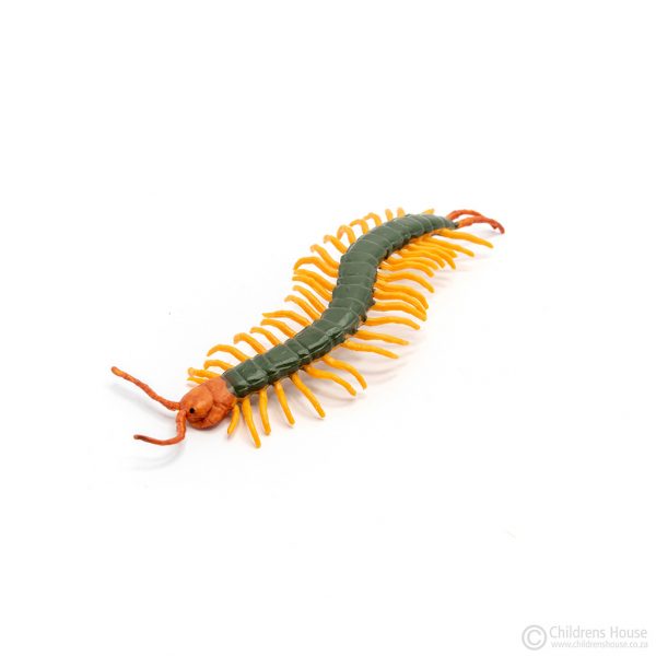 The featured image is of an adult centipede, one of the four Life Cycle of Centipede Objects, consists of 4 plastic miniature objects each depicting a different stage in the life cycle of the centipede. Beautifully realistic and decorated, they are very life-like. Childrens House sells many of these different objects, depicting different life-cycles.