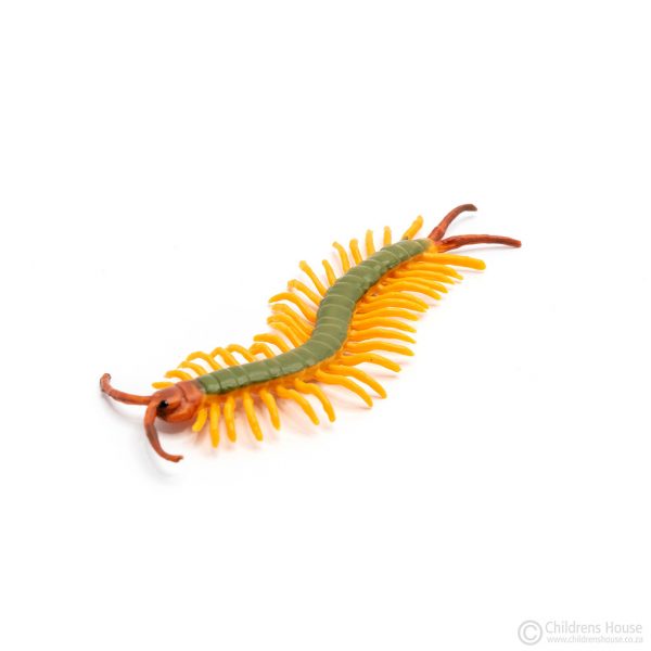 The featured image is of a juvenile centipede, one of the four Life Cycle of Centipede Objects, consists of 4 plastic miniature objects each depicting a different stage in the life cycle of the centipede. Beautifully realistic and decorated, they are very life-like. Childrens House sells many of these different objects, depicting different life-cycles.
