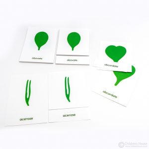 3-Part Cards for the Botany Cabinet