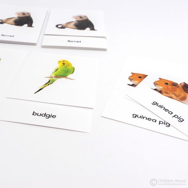 Household Pets - 3 Part Cards