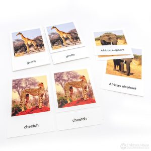African Mammals - 3 Part Cards