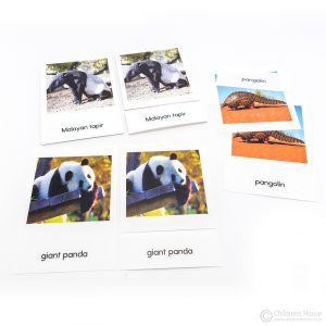 Asian Mammals - 3 Part Cards