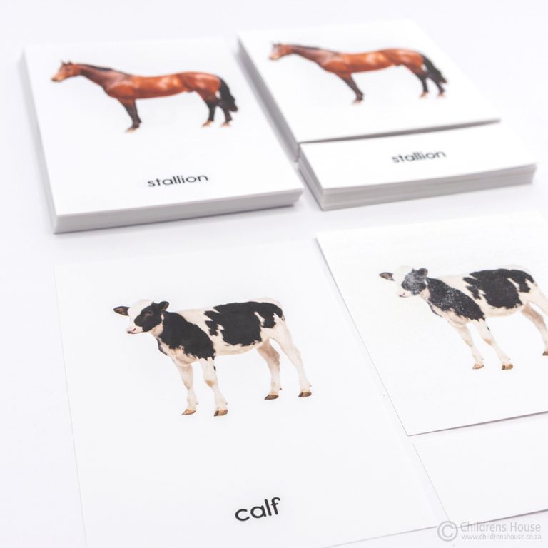 Farm Animals and Their Young 3 Part Cards - Childrens House - to match