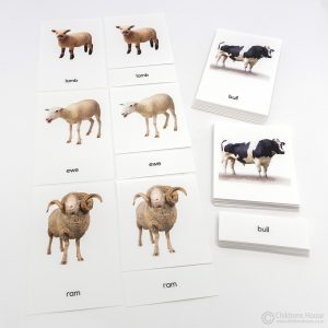 Farm Animals and Their Young - 3 Part Cards