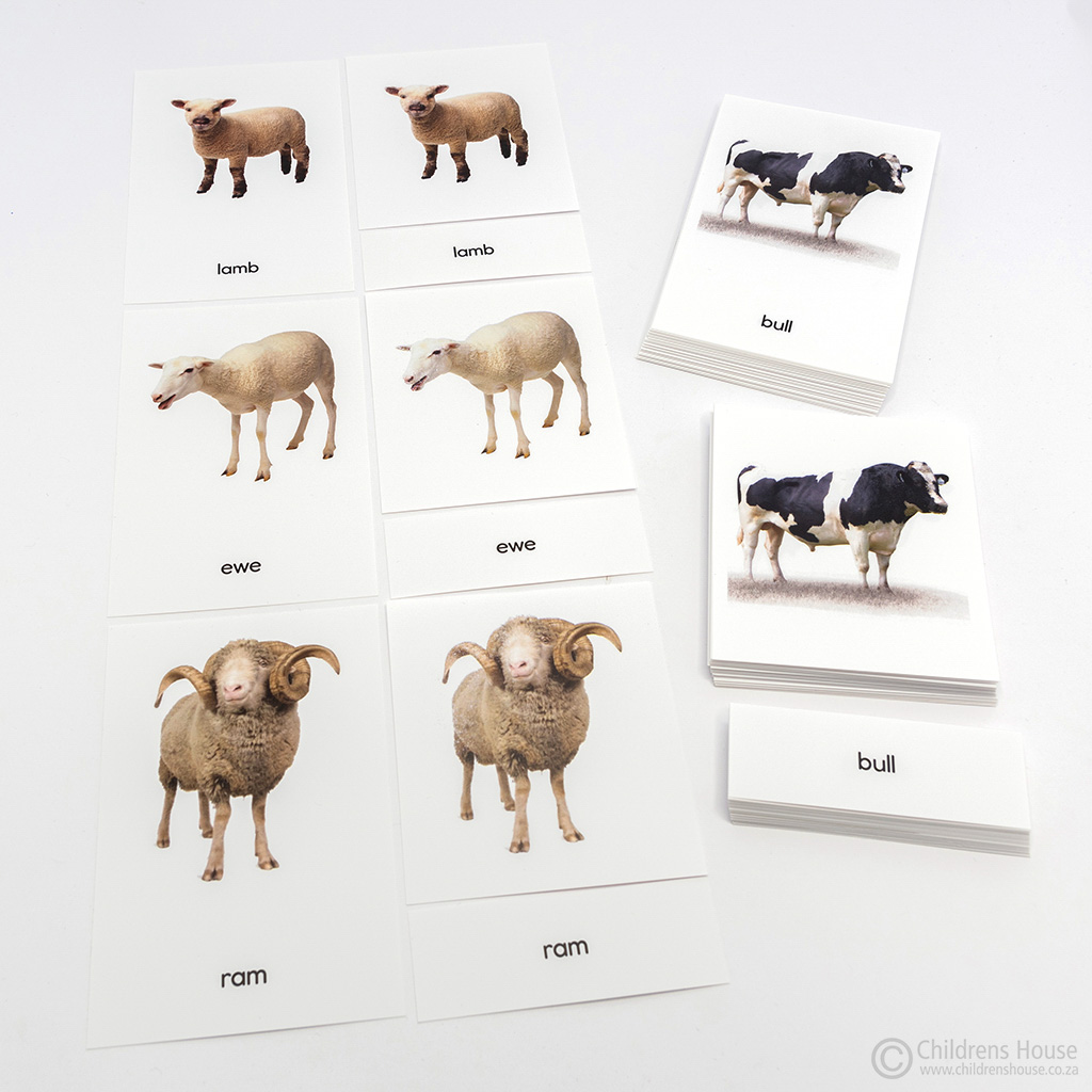 Farm Animals and Their Young 3 Part Cards - Childrens House Montessori  Materials - to match