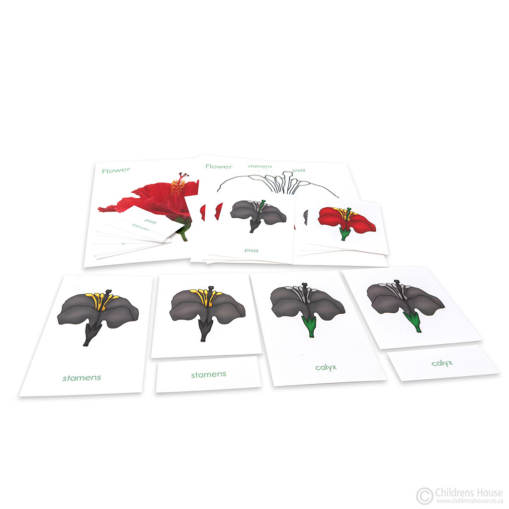 Flower Puzzle Activity