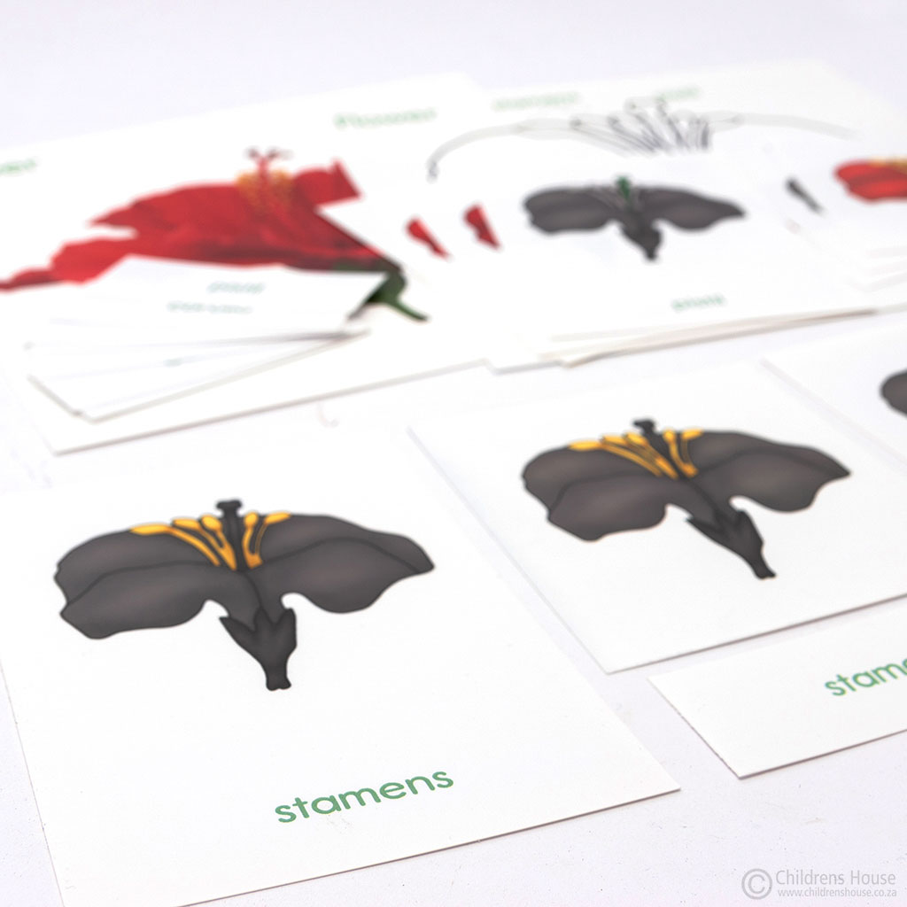 Flower Puzzle Activity