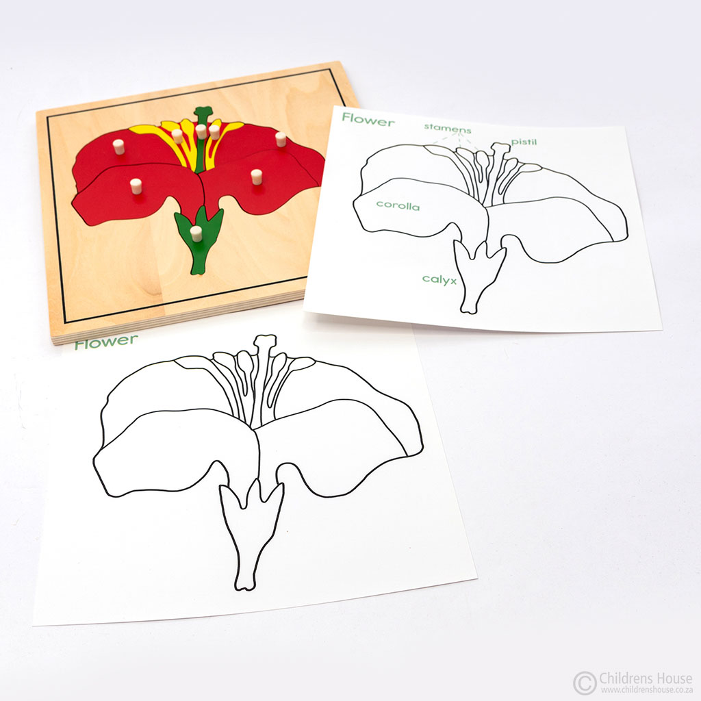 Flower Puzzle Activity