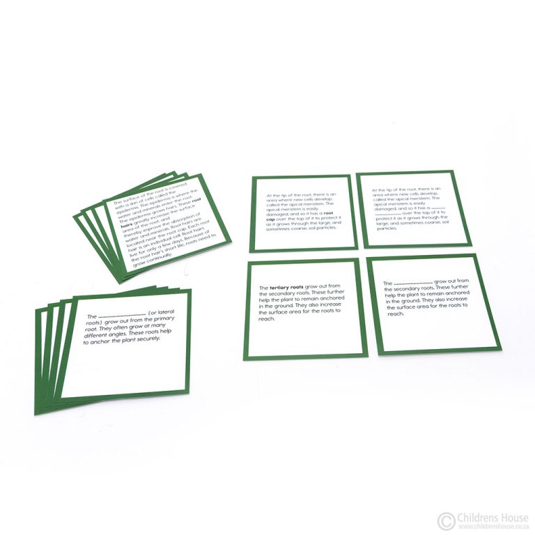 Parts of a Root Activity - Childrens House Montessori Materials - fine ...