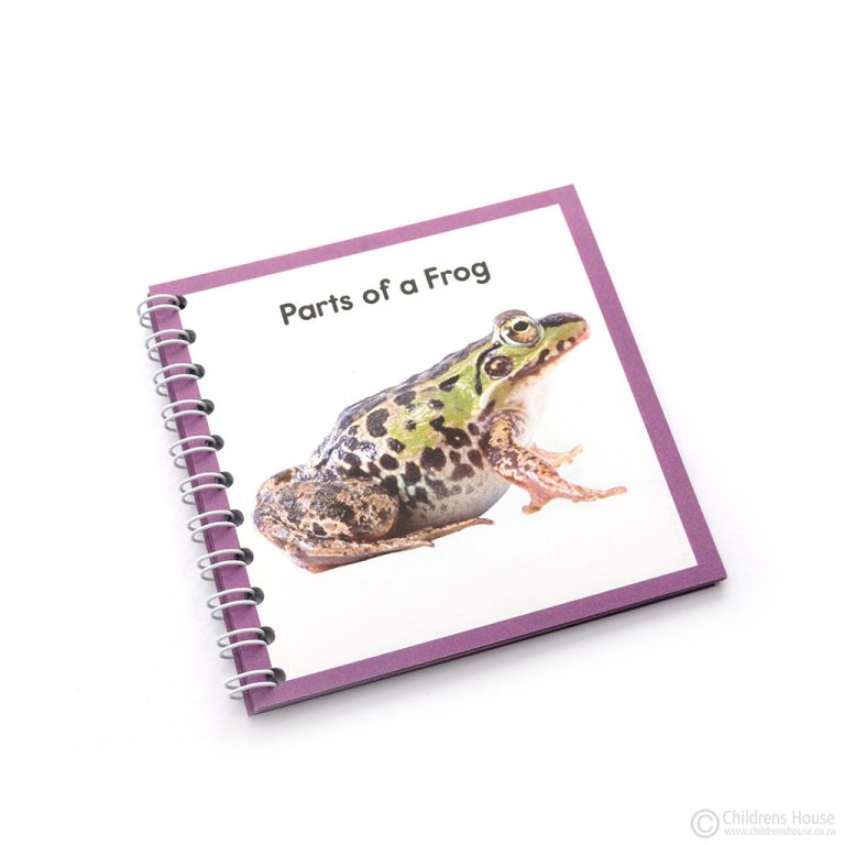Parts of a Frog Activity Childrens House Montessori Materials they