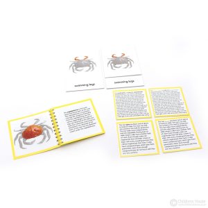 Parts of a Crab Activity