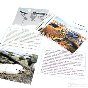 Tundra Biome Folder