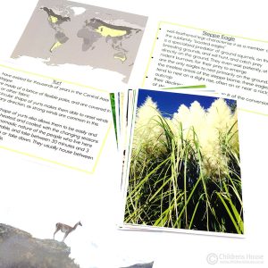 Temperate Grassland Biome Folder