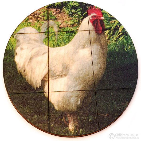 The completed mature chicken picture puzzle - is the top layer