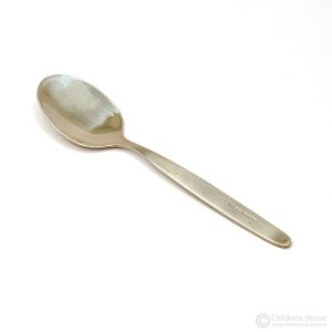 The featured image of a small spoon
