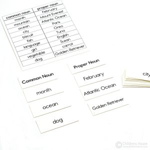 Featured image of the Common and Proper Nouns activity offered by Childrens House