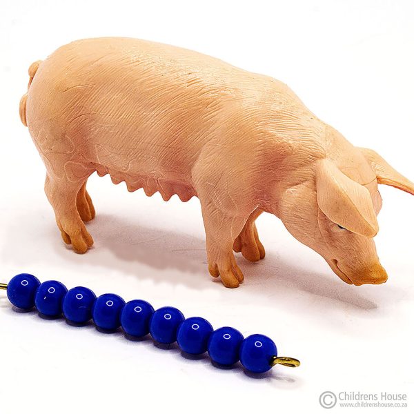 The featured image is of a pink sow. The sow is part of the sounder family. Laying next to the sow, is a dark blue 9 bead stair, (which can be purchased separately), to indicate the size of the sow. This language object, forms part of an activity known as The Farm in the Montessori Language Curriculum. It can be purchased individually, or as part of the complete Farm activity.