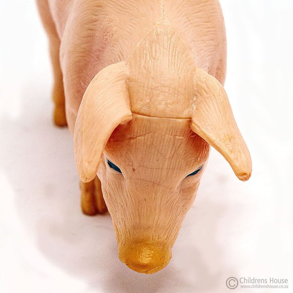The featured image is a close-up of the face of a pink sow, to illustrate the details. The sow is part of the sounder family. This language object, forms part of an activity known as The Farm in the Montessori Language Curriculum. It can be purchased individually, or as part of the complete Farm activity.
