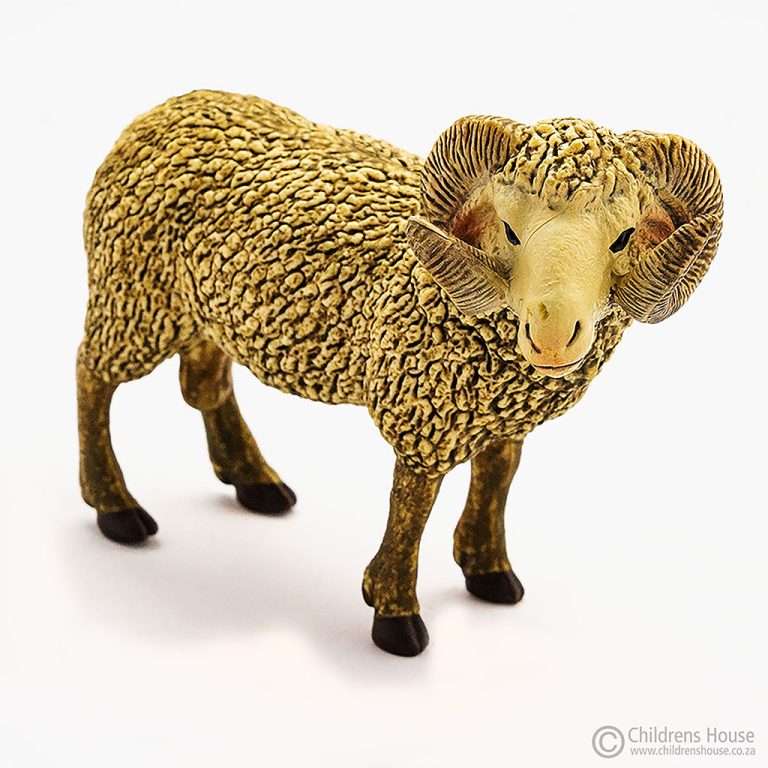 The featured image is of a ram. The ram is part of the flock or family of sheep. This language object, forms part of an activity known as The Farm in the Montessori Language Curriculum. It can be purchased individually, or as part of the complete Farm activity.