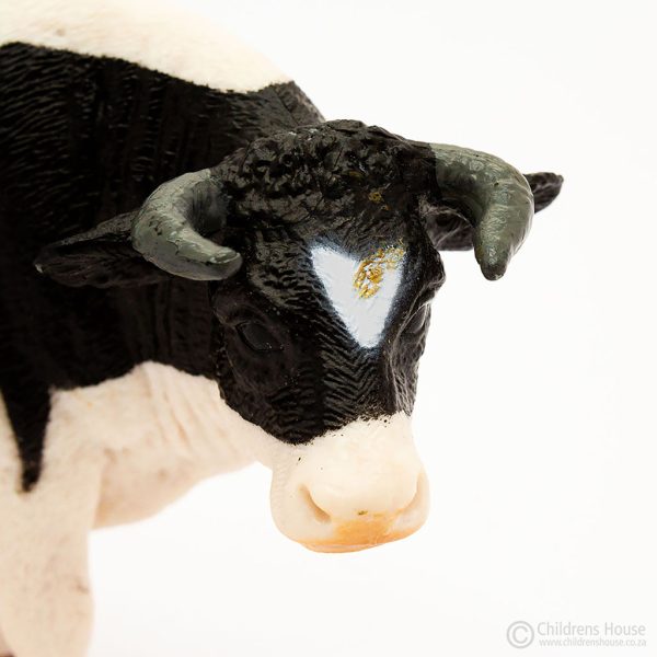 The featured image is a close-up of the face of a black & white, Holstein bull, to illustrate the facial details. The bull is part of the herd (family) of bovine animals. This language object, forms part of an activity known as The Farm in the Montessori Language Curriculum. It can be purchased individually, or as part of the complete Farm activity.