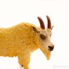 Billy Goat - Childrens House