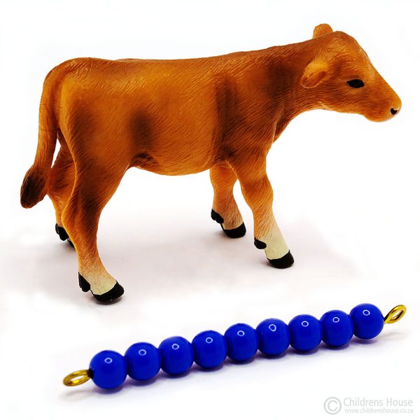 The featured image is of a brown calf. The calf is part of the herd or family of bovine animals. Laying next to the calf, is a dark blue, 9 bead stair, to illustrate the size of the calf. This bead stair can be purchased separately. This language object, forms part of an activity known as The Farm in the Montessori Language Curriculum. It can be purchased individually, or as part of the complete Farm activity.