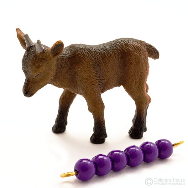 The featured image is of a Brown Kid Goat. The goat is part of the herd or family of goats. Laying next to the goat, is a purple, 6 bead stair, to illustrate the size of the goat. This bead stair can be purchased separately. This language object, forms part of an activity known as The Farm in the Montessori Language Curriculum. It can be purchased individually, or as part of the complete Farm activity.