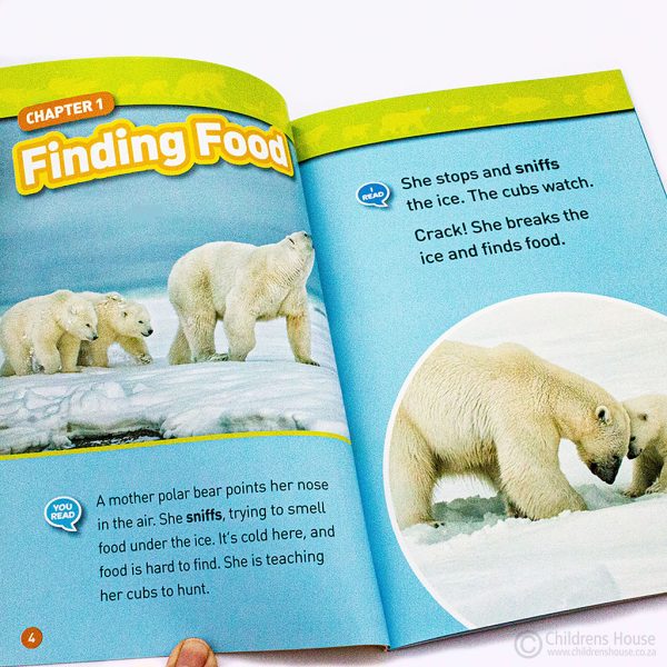 This featured image is of one of the range of National Geographic Kids Readers. These range in level from a pre-reader, to a level 1 as a co-reader, and level 2 and 3. This is a level 1 book for children who learn to read with a co-reader. This book, Follow Me, tells of animal parents and babies. There are things to do, facts and interesting reading sections, which teach the basics of how parents teach their children to look after themselves.