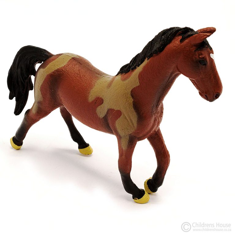The brown Skewbald Stallion, canters proudly across the page