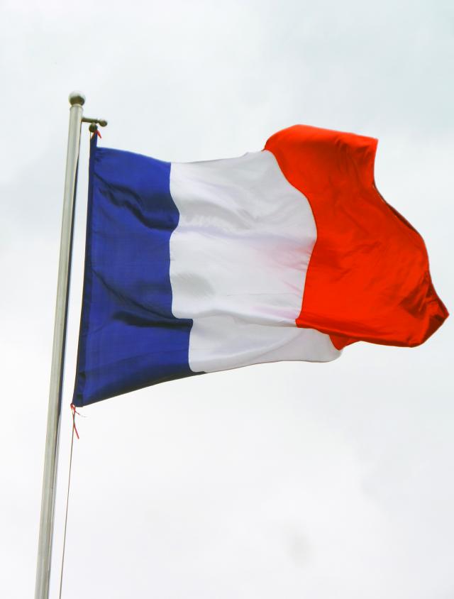French Flag - thumbnail