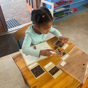 Childrens House feature the Honeycomb Montessori Constantia school in Cape Town. A young learner from the 3 to 6 environment is sitting at the table, working the earthworm activity, and using the objects to enhance the activity.