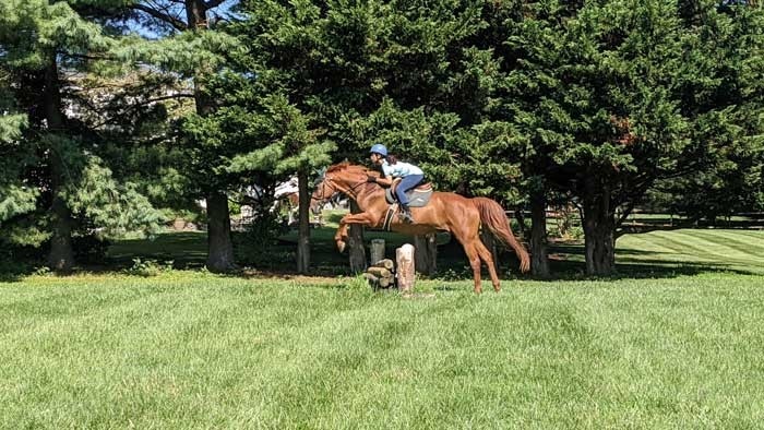 Butler Montessori - AMI LE Guide provides an image of an Elementary horse-rider on the back of a beautiful Chestnut horse. The horse is in full gallop, jumping over an obstacle. Equestrian studies are a large part of the school's sports.