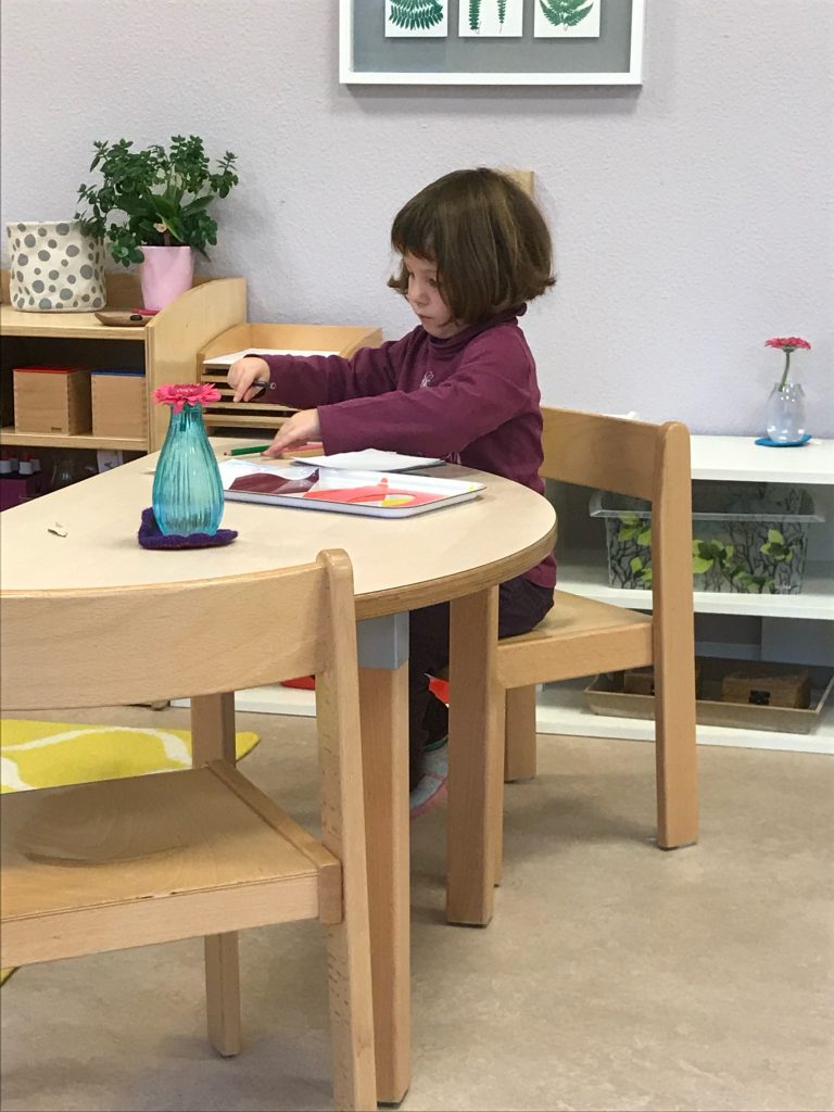 A Child working with the Metal Insets at a table in a Montessori Environment
